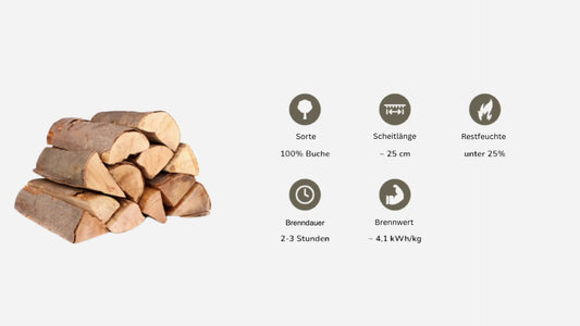 25 cm Buchenholz – Premium Kaminholz im Netz (10 kg)